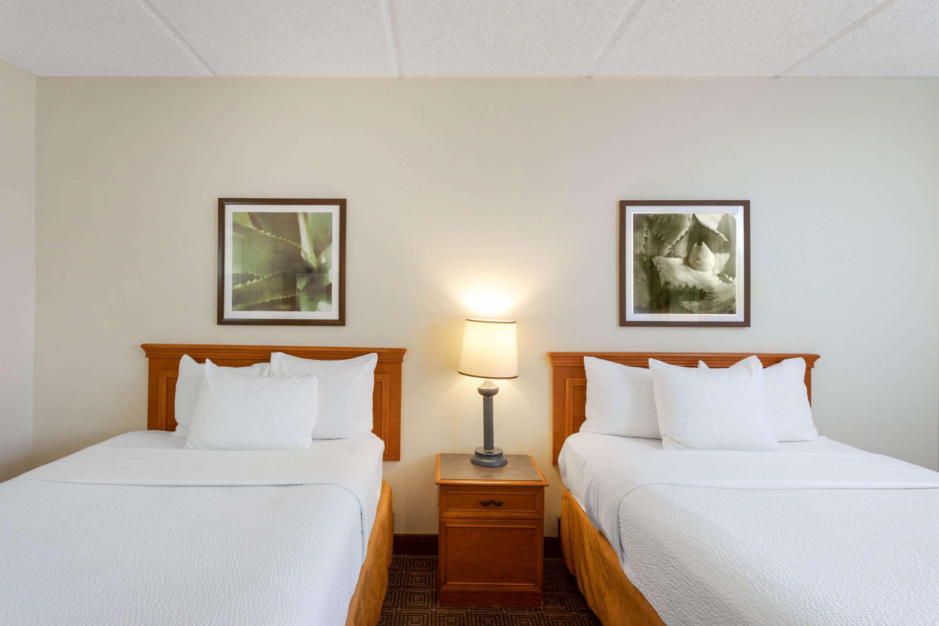 La Quinta Inn & Suites By Wyndham Jacksonville Mandarin Eksteriør billede