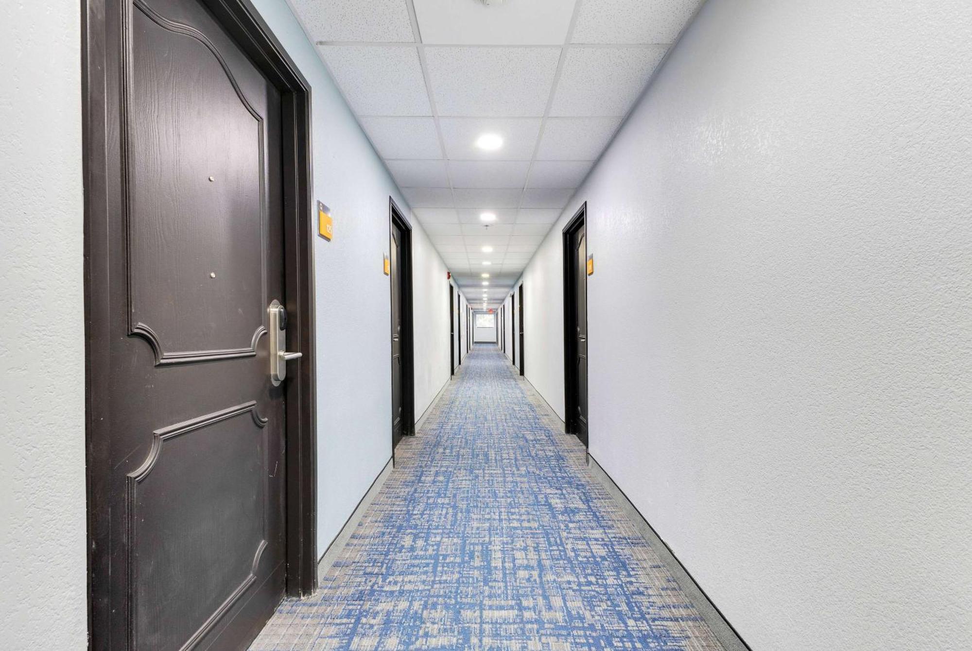 La Quinta Inn & Suites By Wyndham Jacksonville Mandarin Eksteriør billede